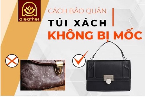 bảo quản túi xách da bị mốc